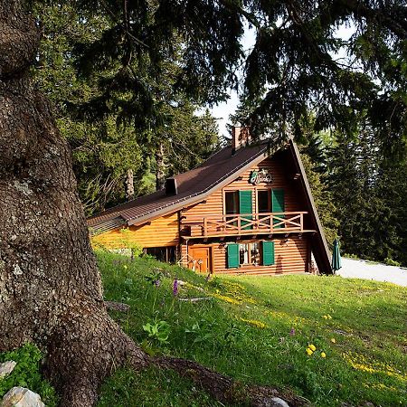 Chalet Alpinka Cerklje na Gorenjskem Ngoại thất bức ảnh